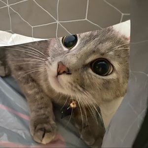 Meet your Posher, Emmi